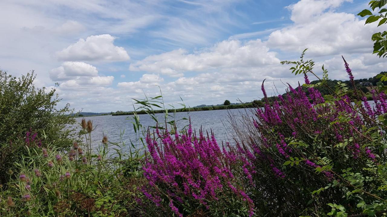 BELLE VISNONIA meublé de caractère Sud Morbihan Béganne Exterior foto