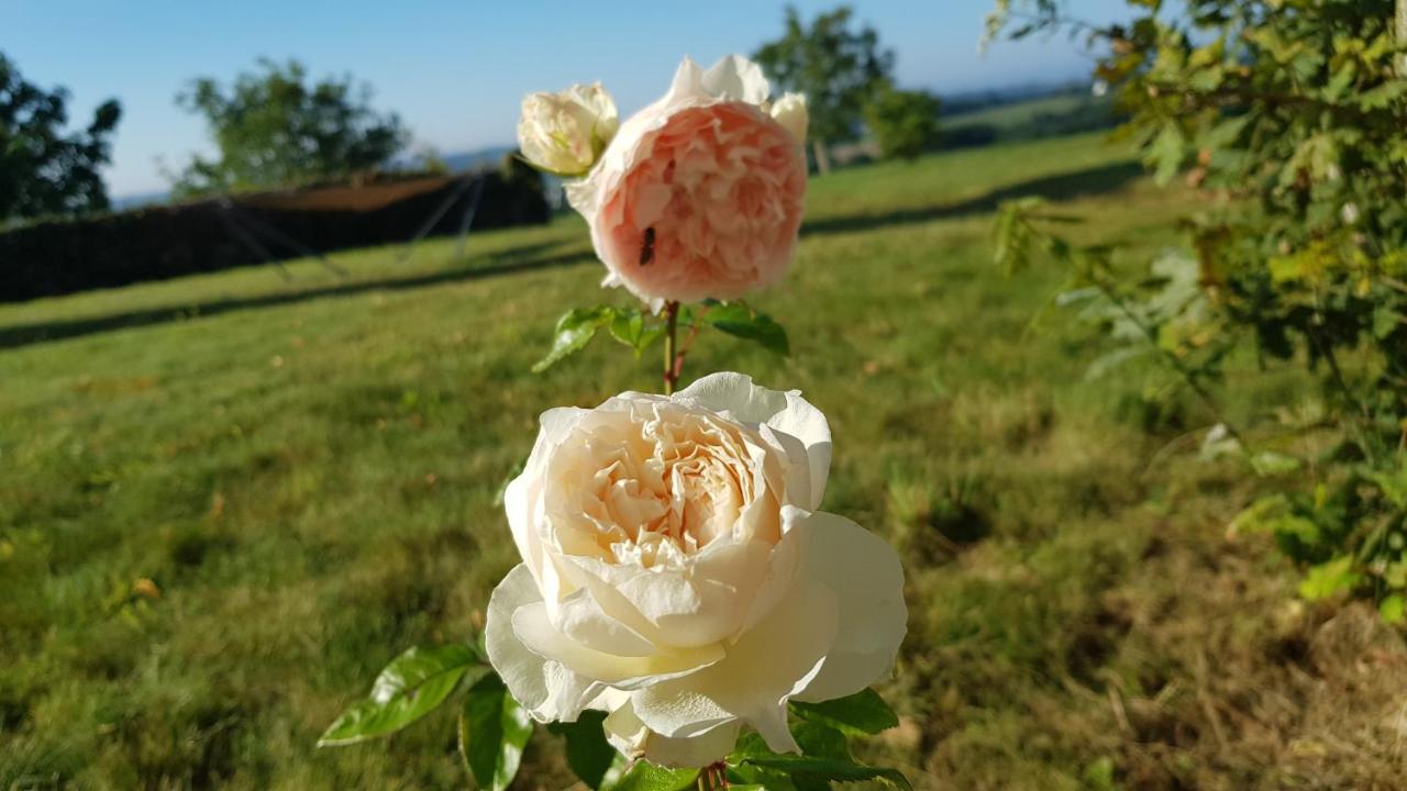 BELLE VISNONIA meublé de caractère Sud Morbihan Béganne Exterior foto